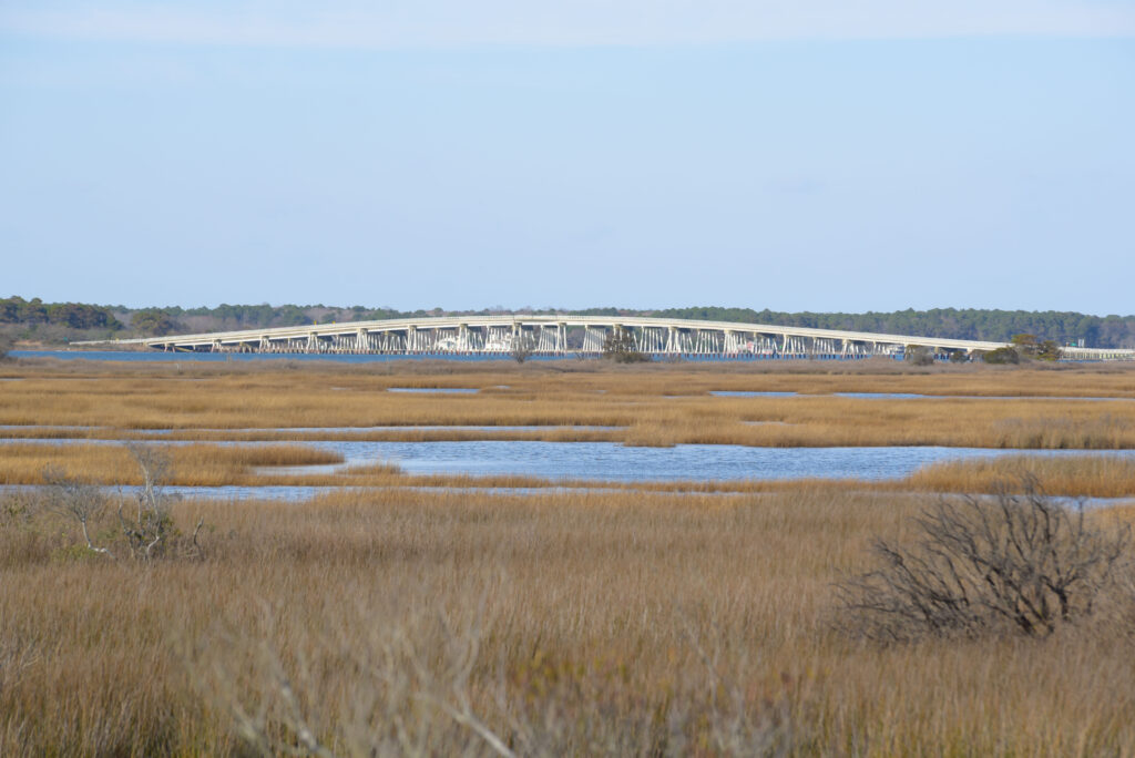 ocean city md wedding packages