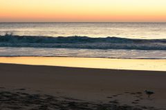 Assateague-Island-Beach-Wedding-by-Sunny-Beach-Weddings